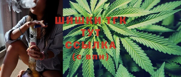 стафф Касимов
