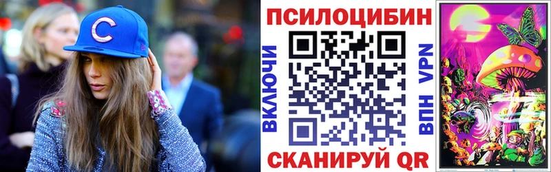 Галлюциногенные грибы Psilocybine cubensis  продажа наркотиков  Апатиты 